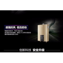 Haier/海尔 热水器 JSQ31-16V6(12T)
